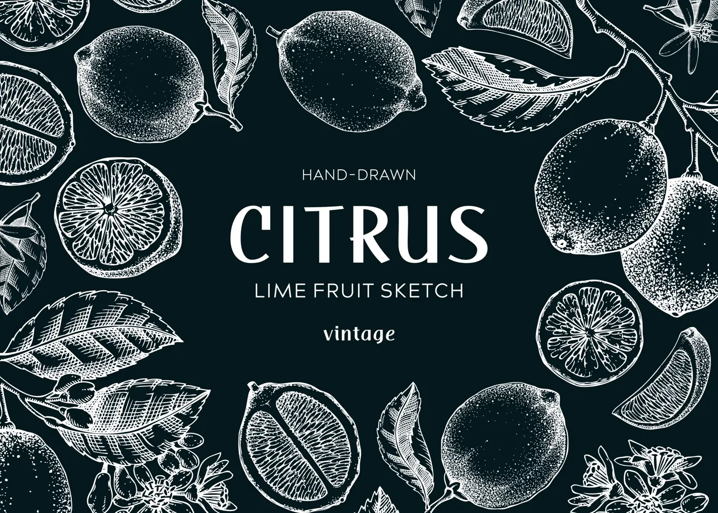Lime fruit frame. Botanical design template. Citrus fruit sketches. Exotic plants banner. Hand drawn vector illustration. NOT AI generated Illustration